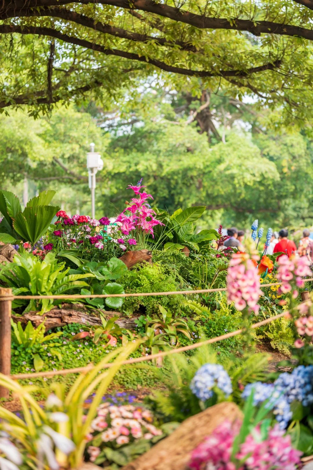 南湖！你只是一个免费公园！不是景区