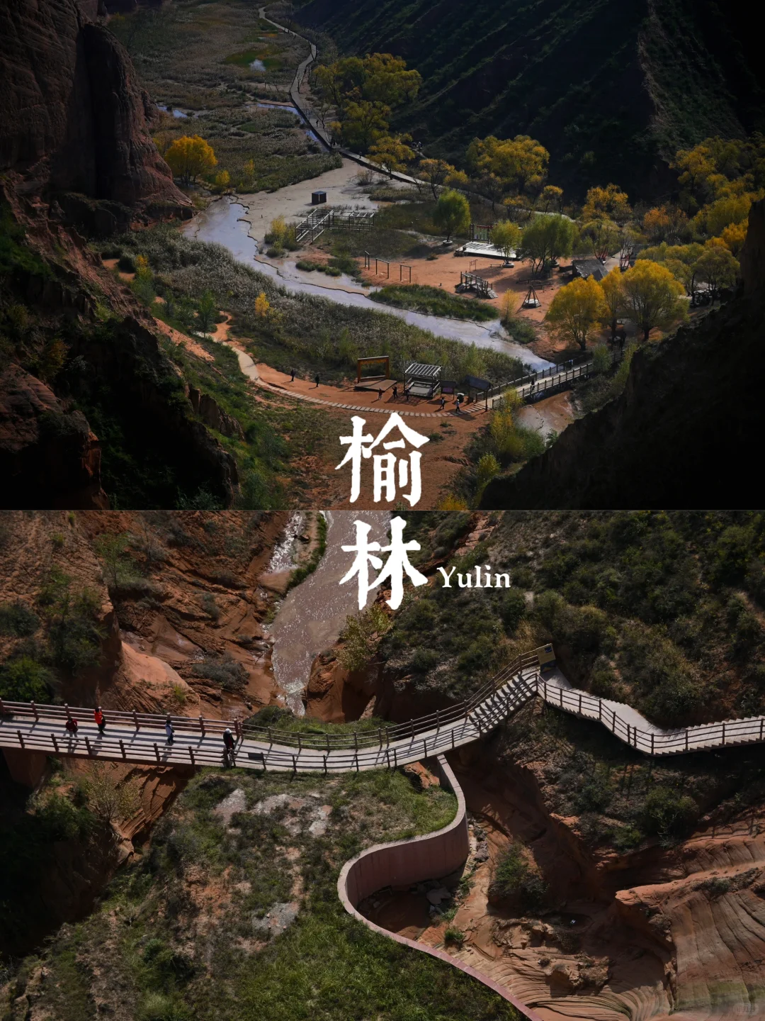 后来，我总是回想起在山谷荡秋千的那个下午