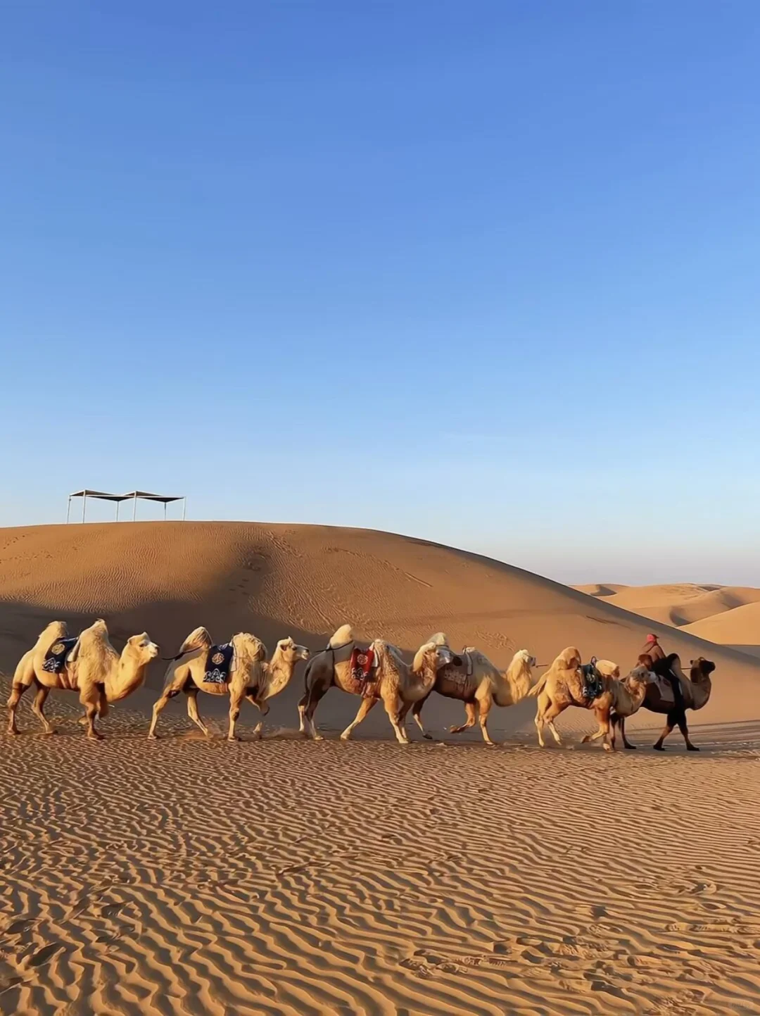 预计五一会🔥爆火的地方——呼和浩特🌄