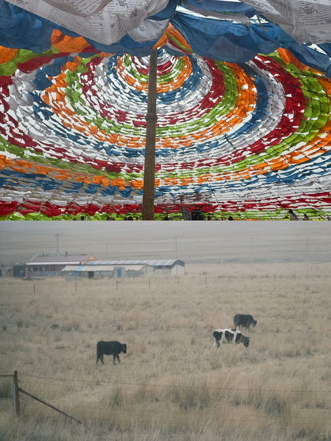 38元青海西宁一日游旅行团真实体验