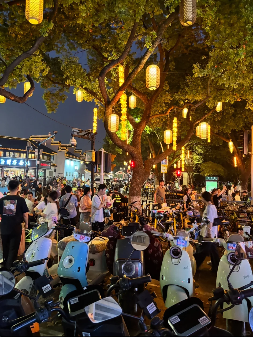 园林卡第二站—虎丘塔