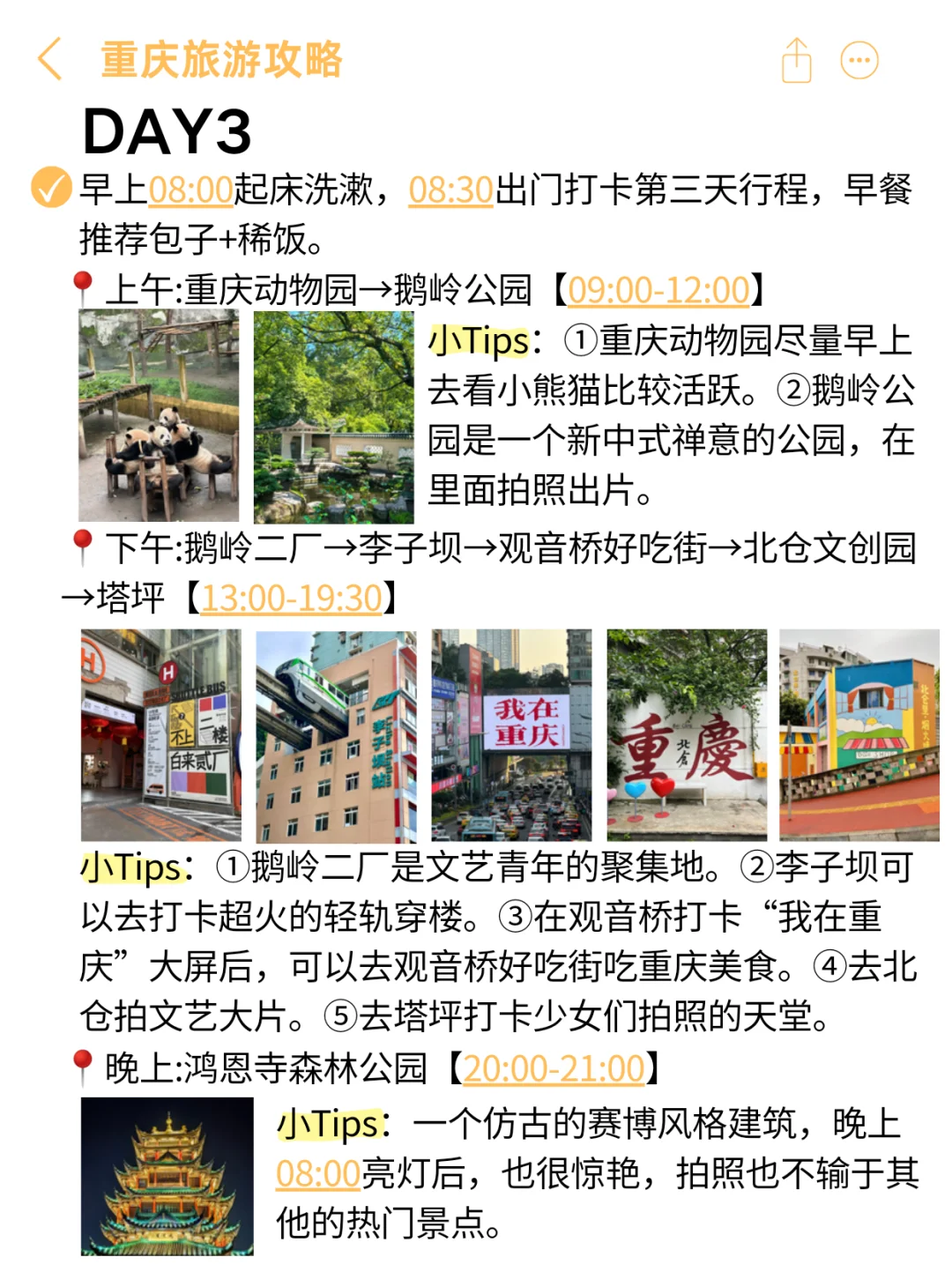 当J人去重庆后，熬夜整理的攻略✈️