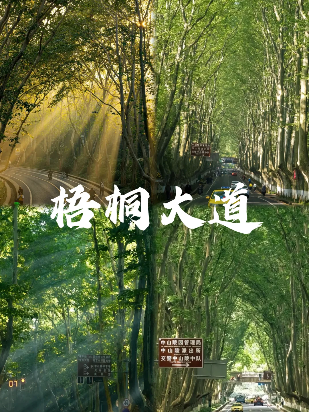 03女大📍南京/两日游详细版路线旅游攻略❗️