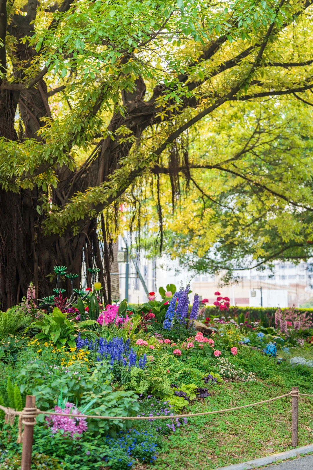 南湖！你只是一个免费公园！不是景区