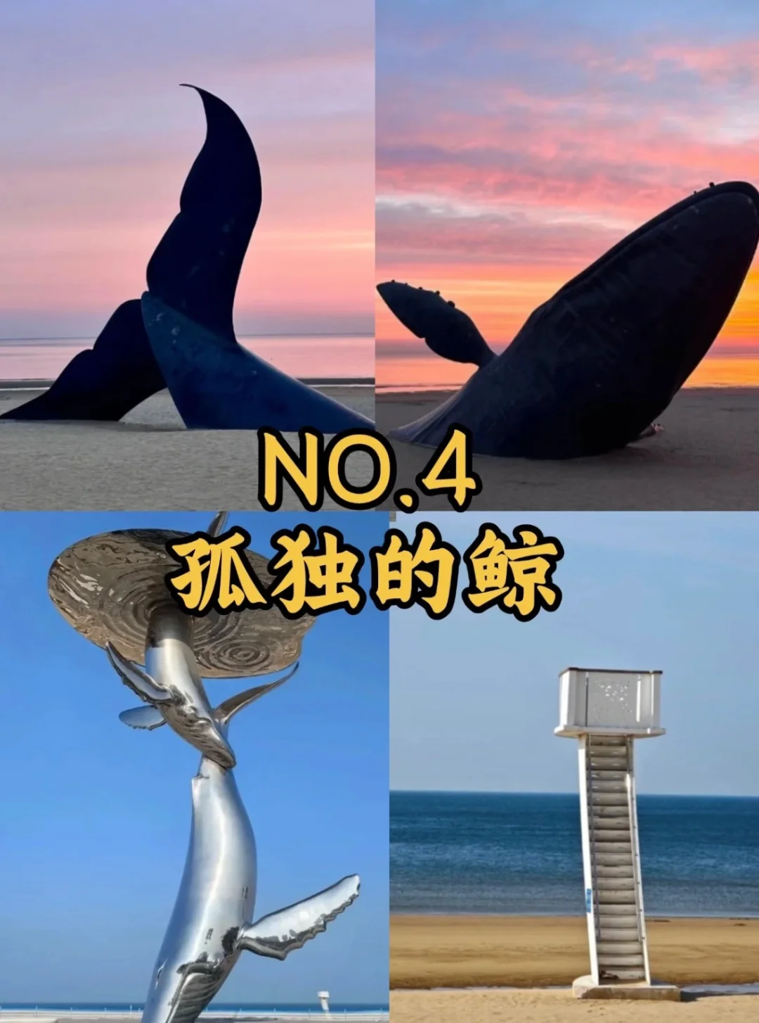烟台好玩地方景点！好美！！！