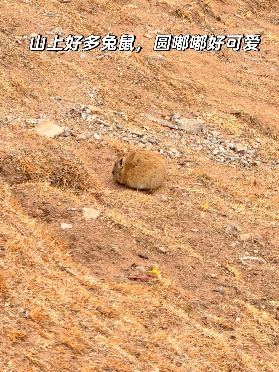 38元青海西宁一日游旅行团真实体验