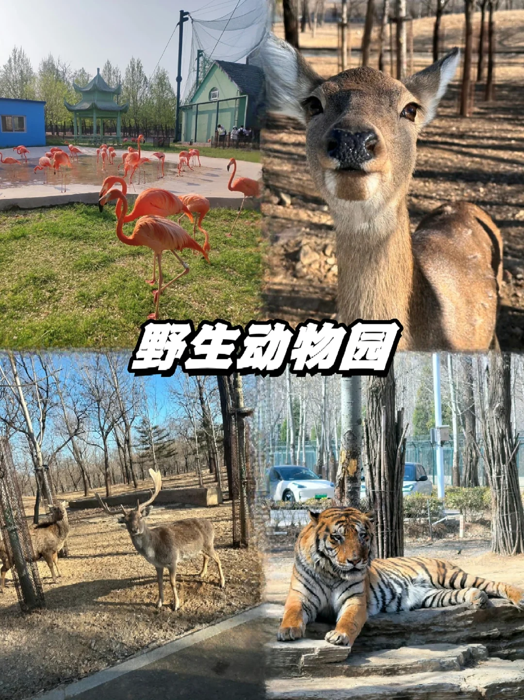 📍秦皇岛｜两天一夜人均300➕精华版攻略
