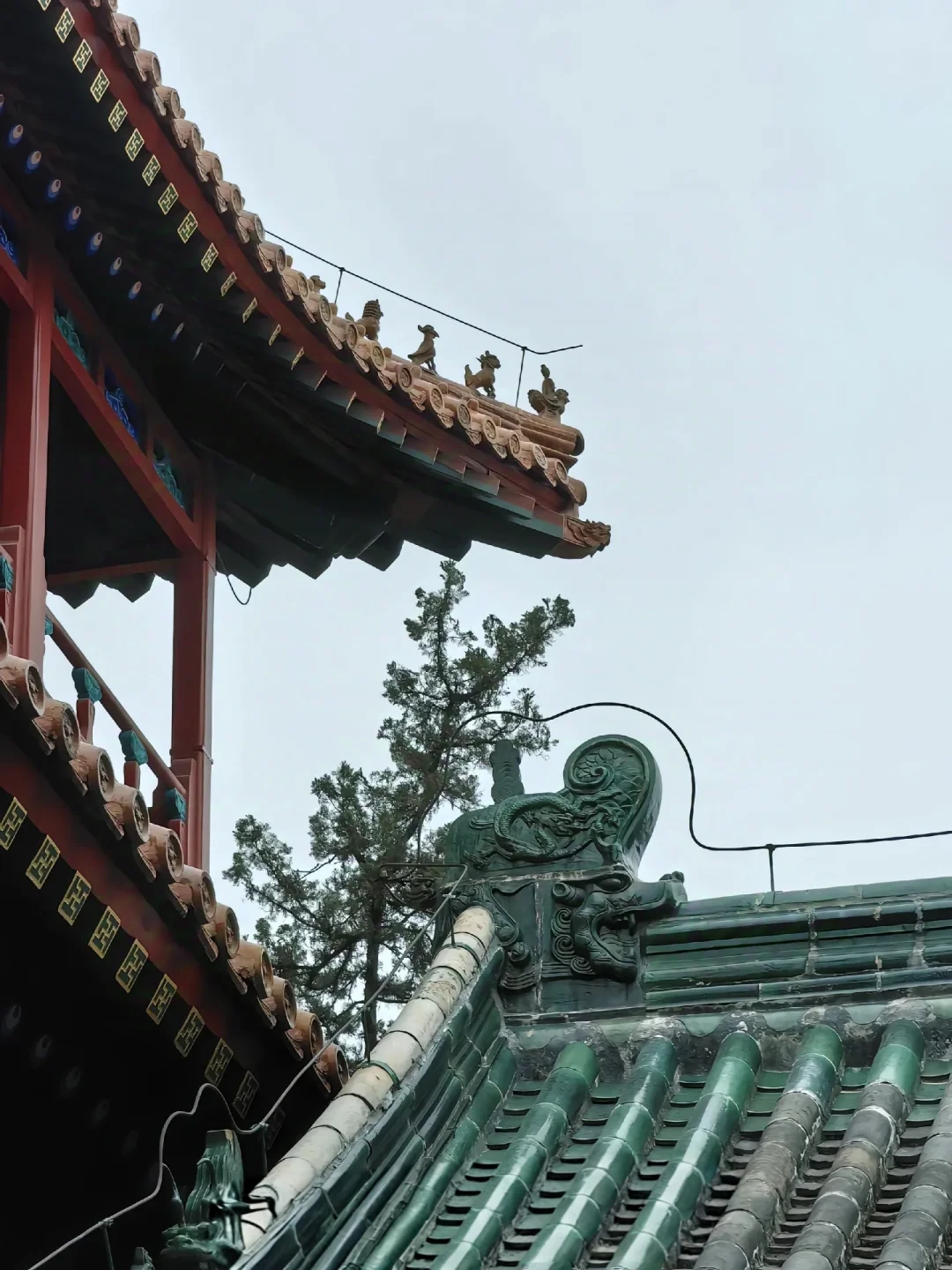 这份游曲阜攻略，不踩雷✅