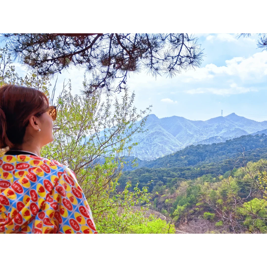 银山塔林 没get❌