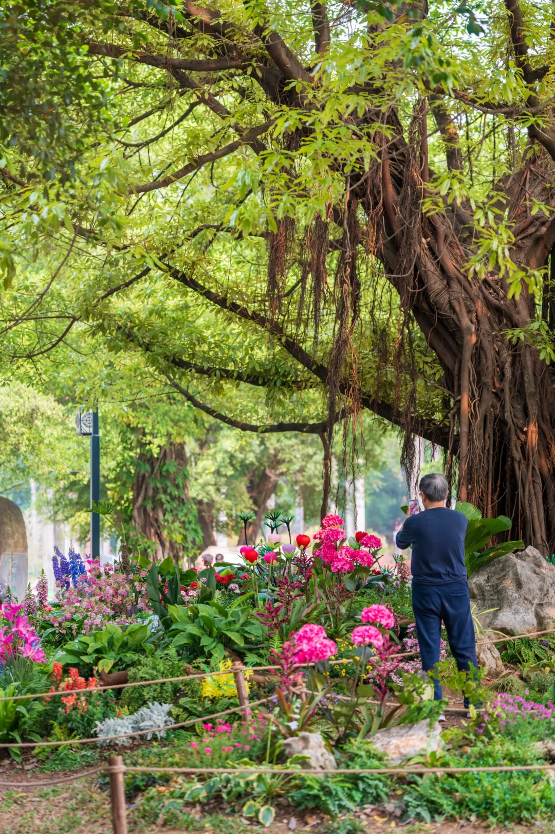 南湖！你只是一个免费公园！不是景区