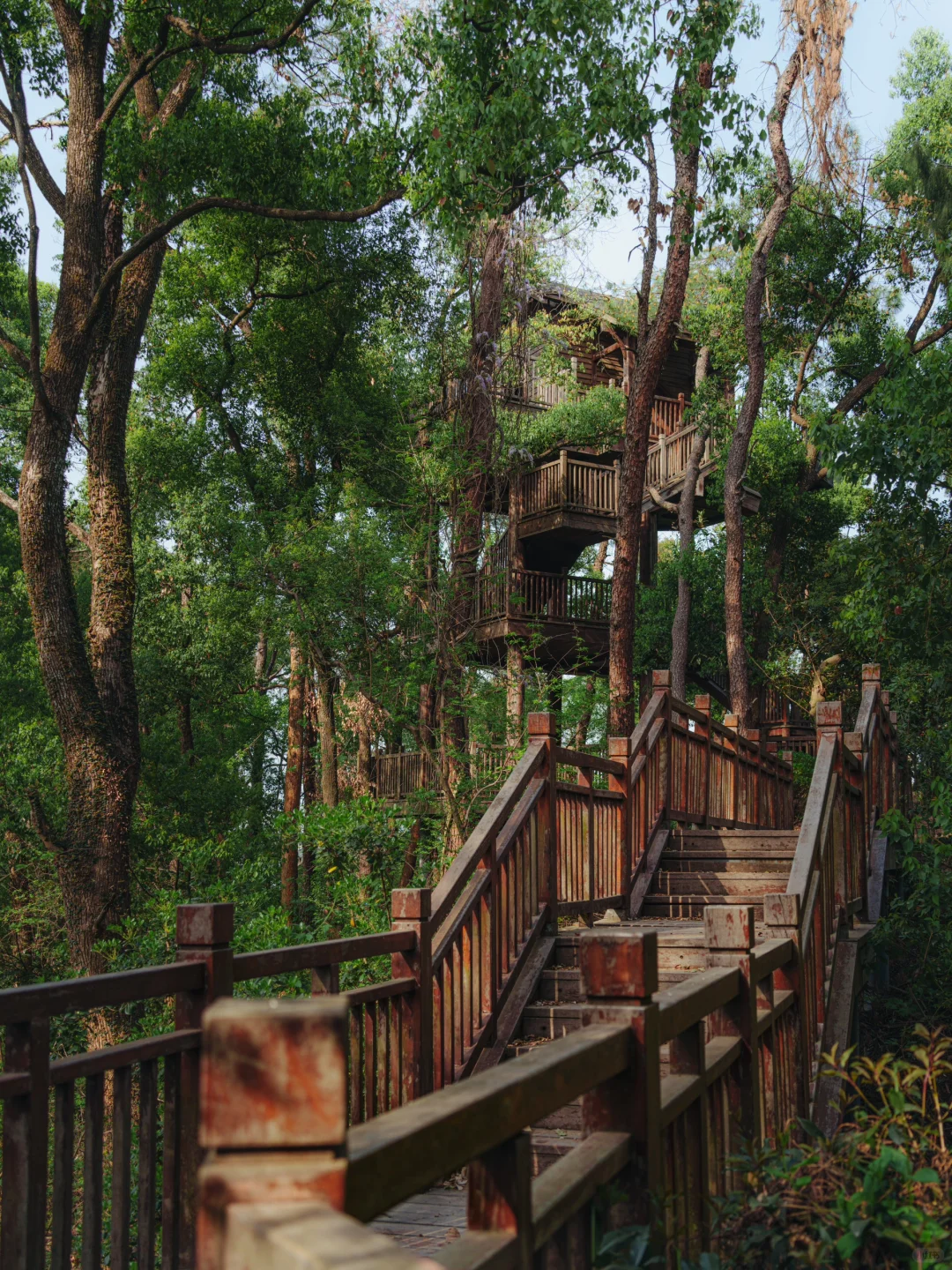 上春山 | 东湖磨山