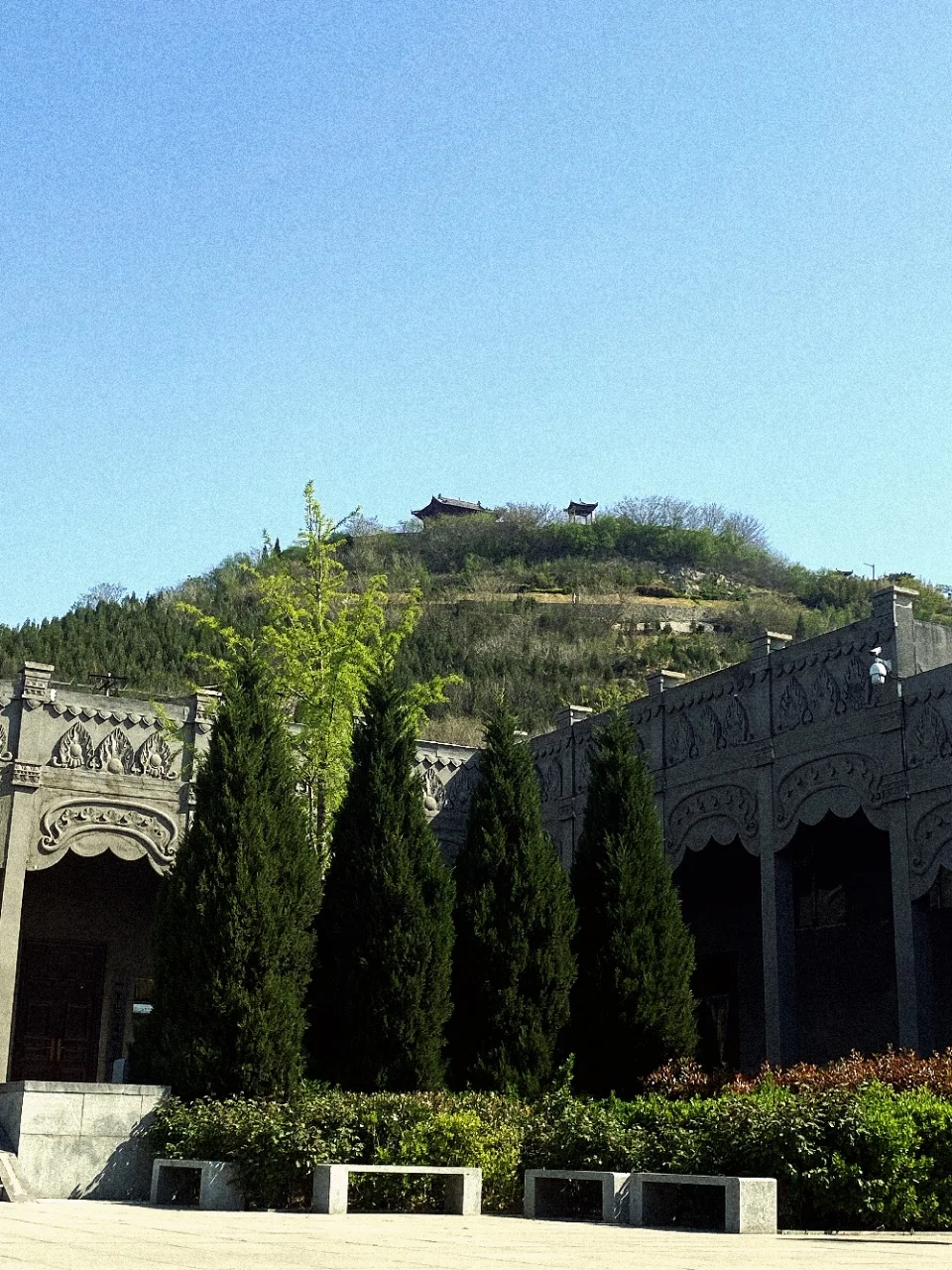 一眼千年,响堂山石窟的 “种草” 魔力