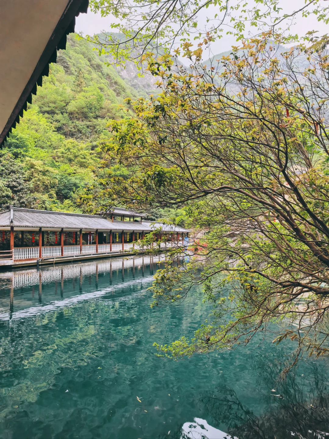 安吉 灵溪山