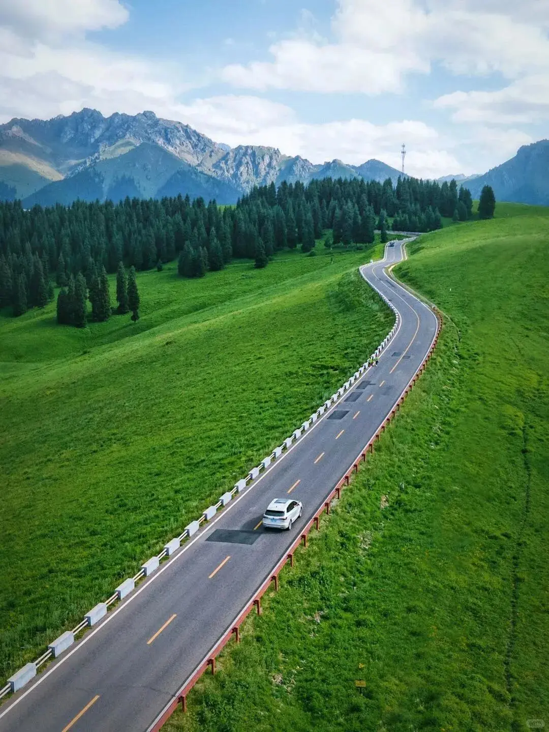 五一新疆景点怎么选 这些草原已经绿了