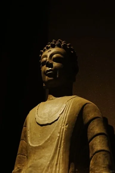 石家庄人速存❗周边2小时直达，周末不愁玩