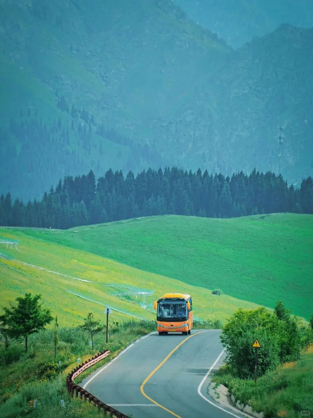 五一新疆景点怎么选 这些草原已经绿了