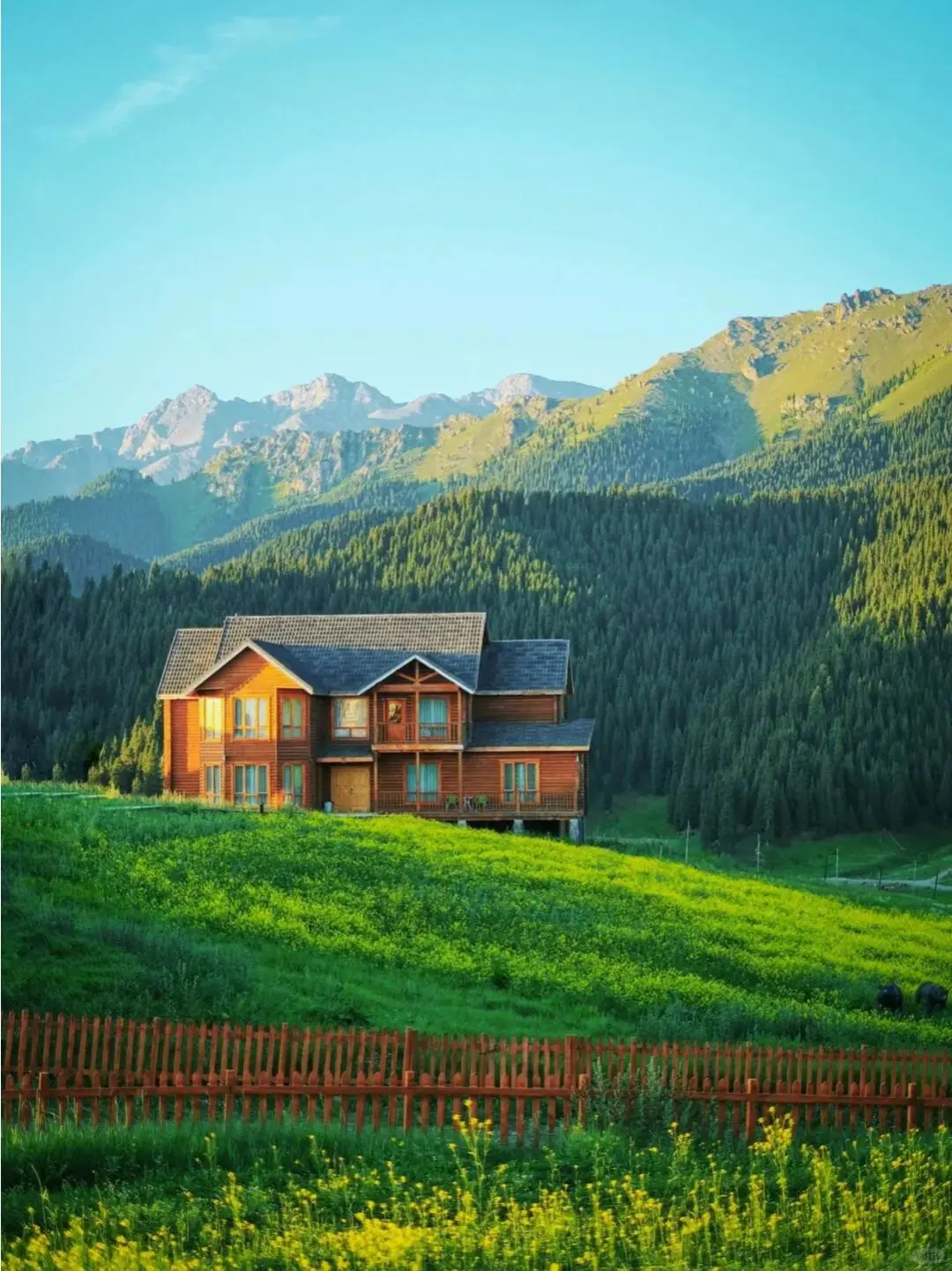 五一新疆景点怎么选 这些草原已经绿了