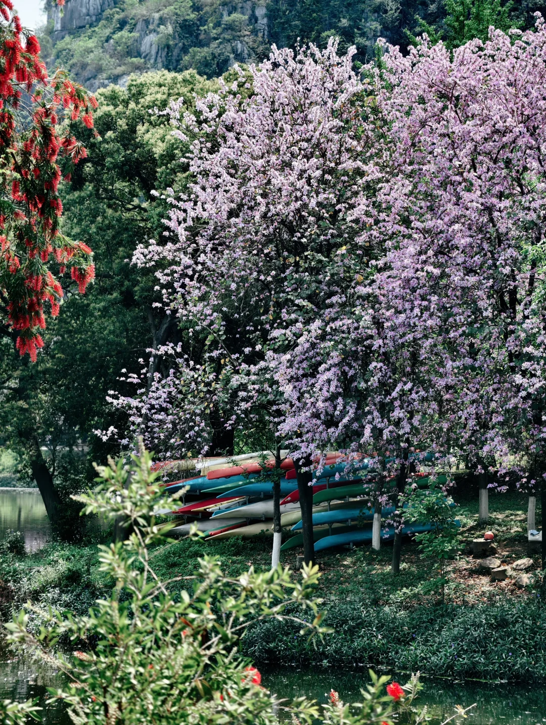 乍然春风起，吹落花满地