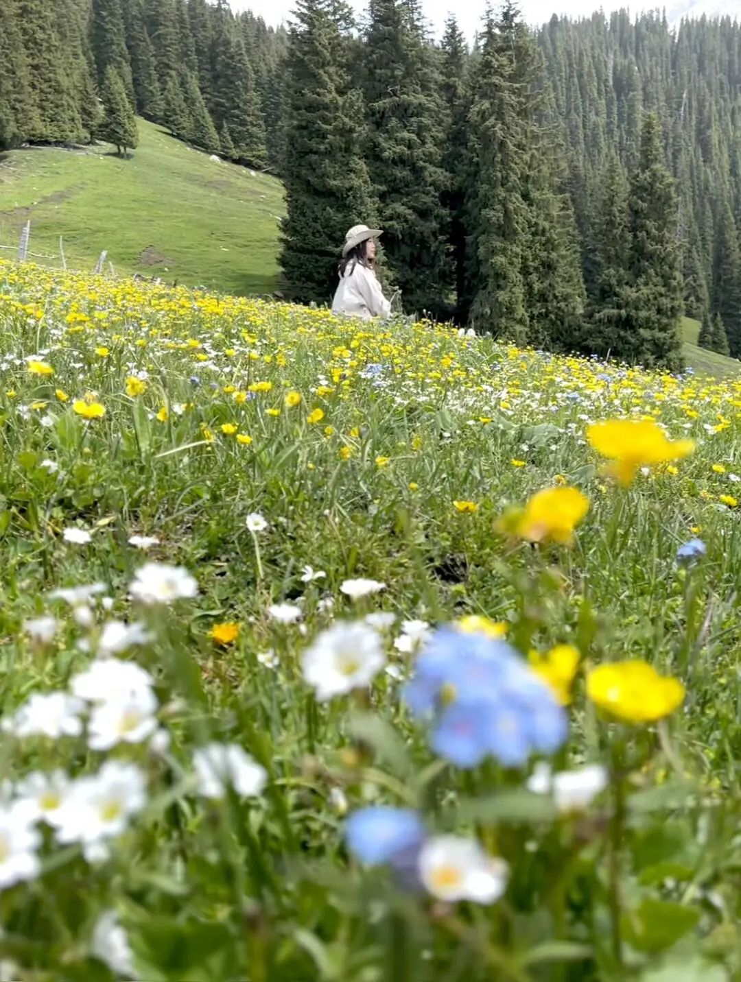 五一新疆景点怎么选 这些草原已经绿了