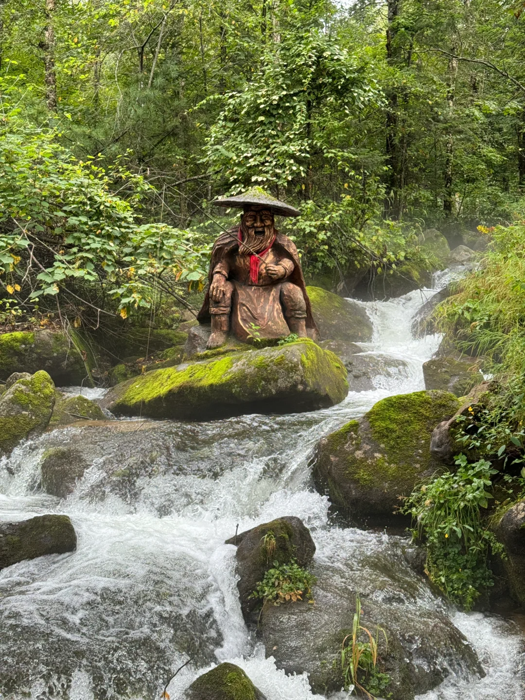 🌲【探秘哈尔滨周边游妈妈顶原始森林】🌲