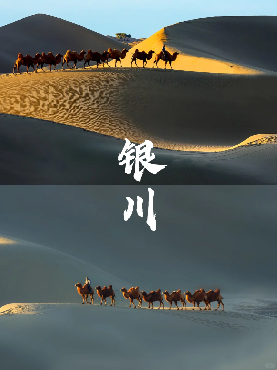 这8大景点，把银川玩到心里去