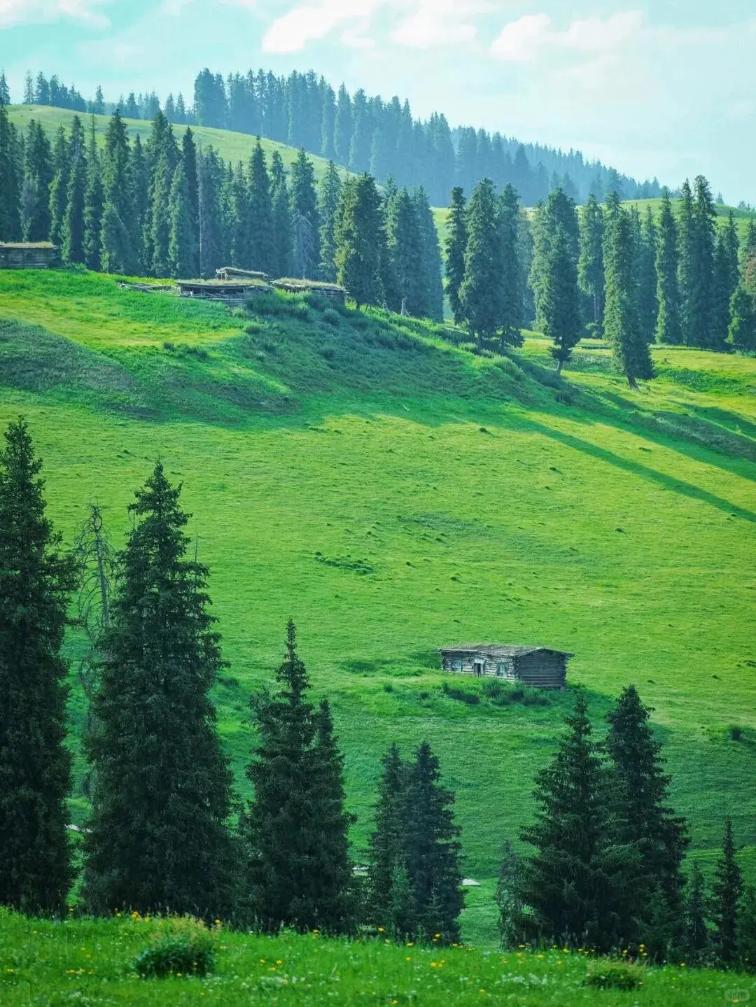 五一新疆景点怎么选 这些草原已经绿了