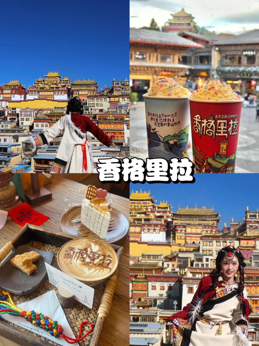 第一次来云南，不会做攻略请看👀这里