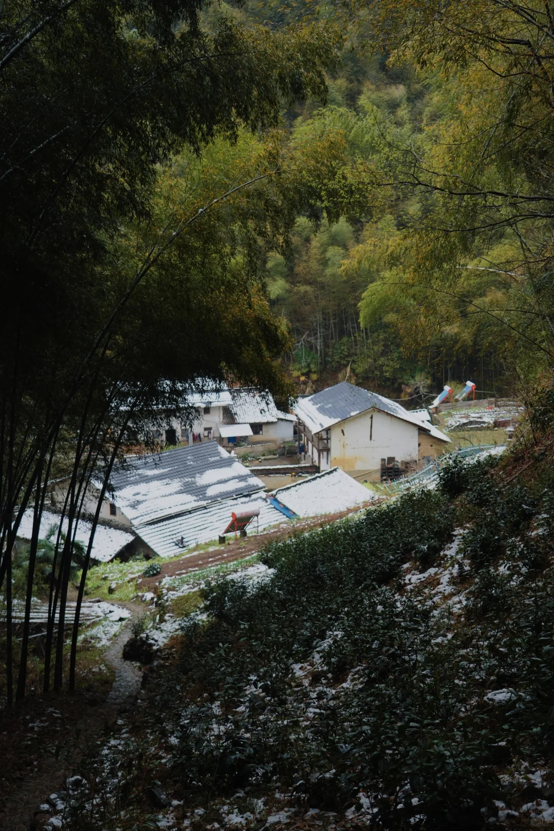 皖南有的地方宣而不藏，但很多人还是会错过