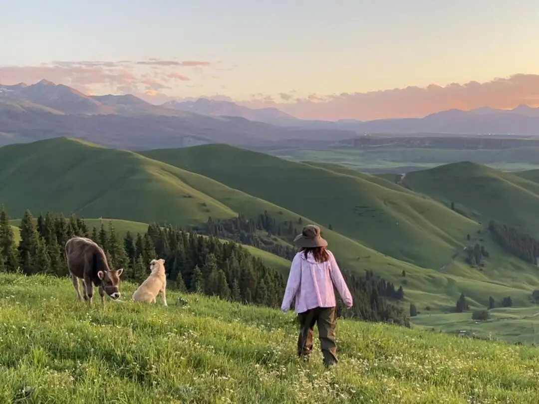 五一新疆景点怎么选 这些草原已经绿了