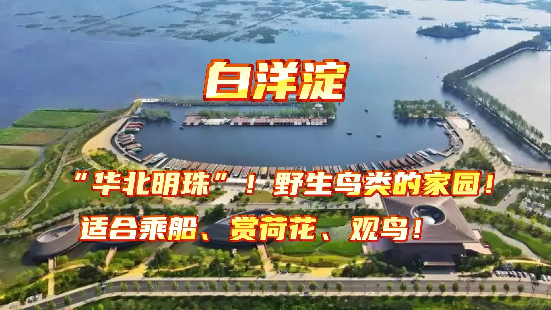 雄安景点｜乘风四公、马拉松、五一景点全在这！