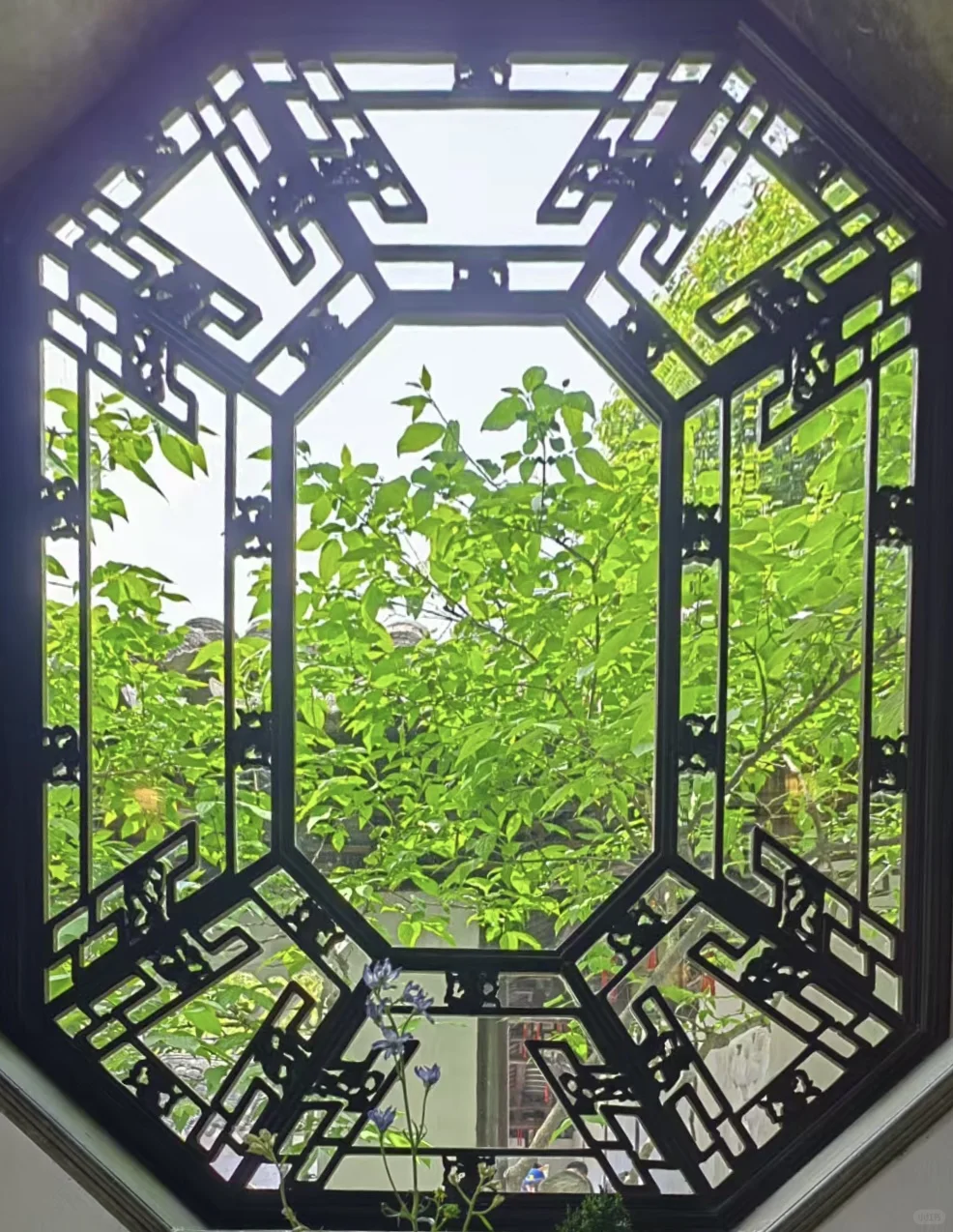 📍苏州·狮子林