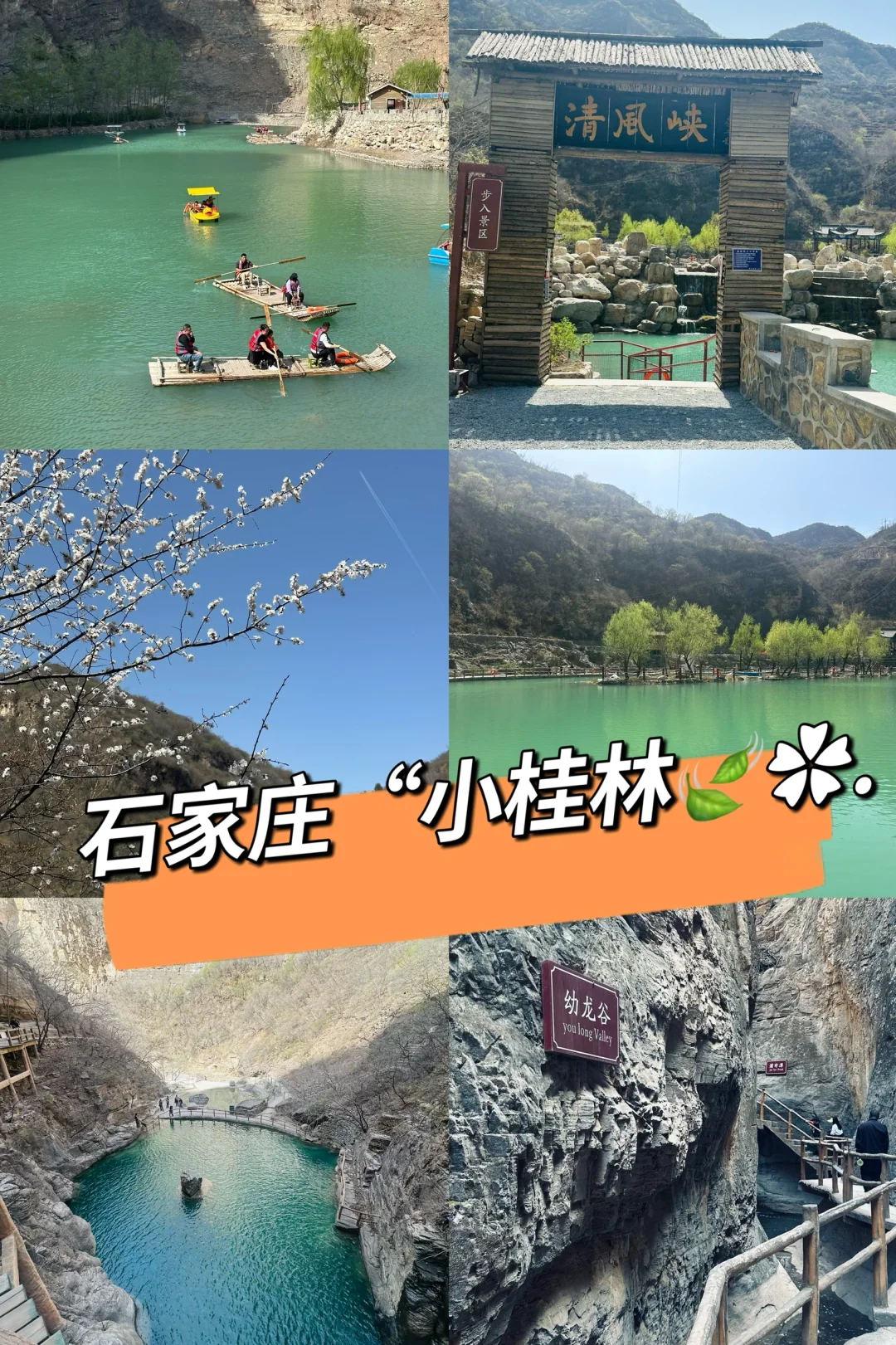 真不是桂林，是石家庄！🌳