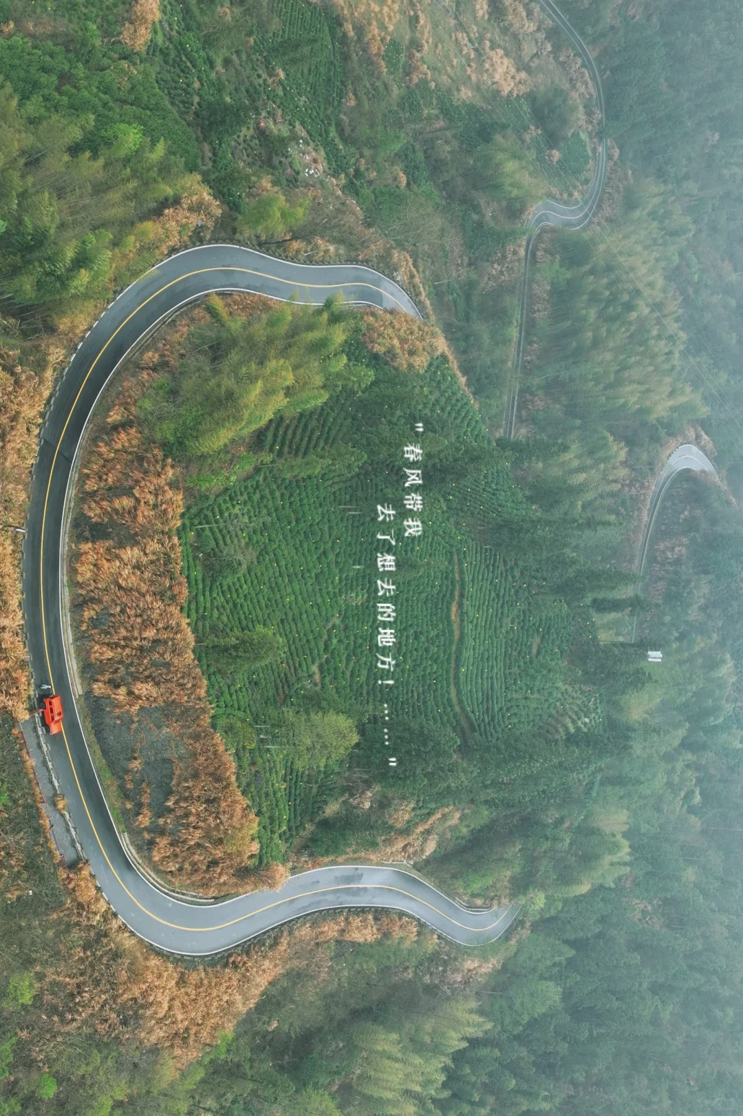 皖南有的地方宣而不藏，但很多人还是会错过