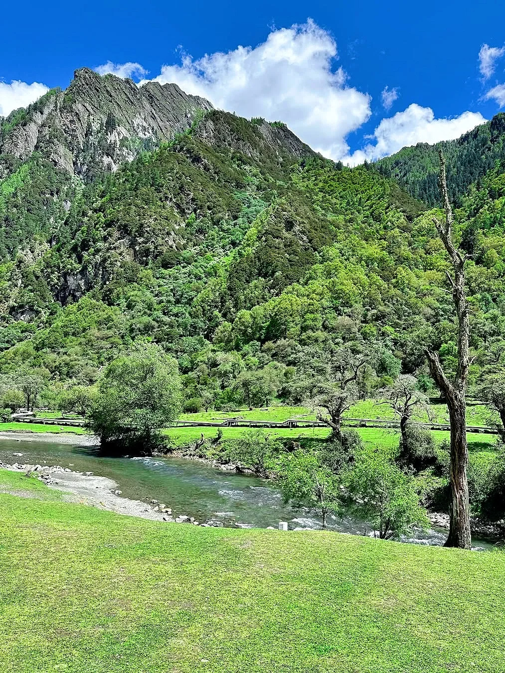 4.15📍四姑娘山现状！！话难听，但就是大实话