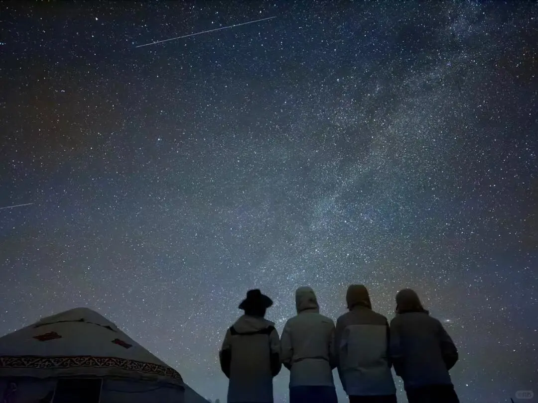 五一新疆景点怎么选 这些草原已经绿了