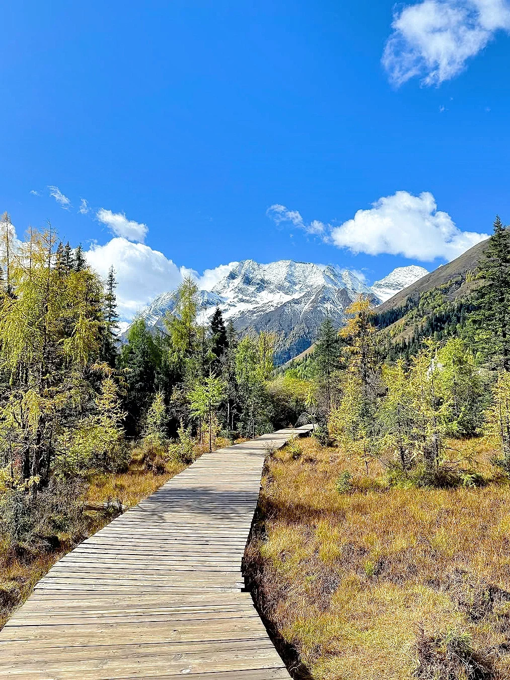 4.15📍四姑娘山现状！！话难听，但就是大实话