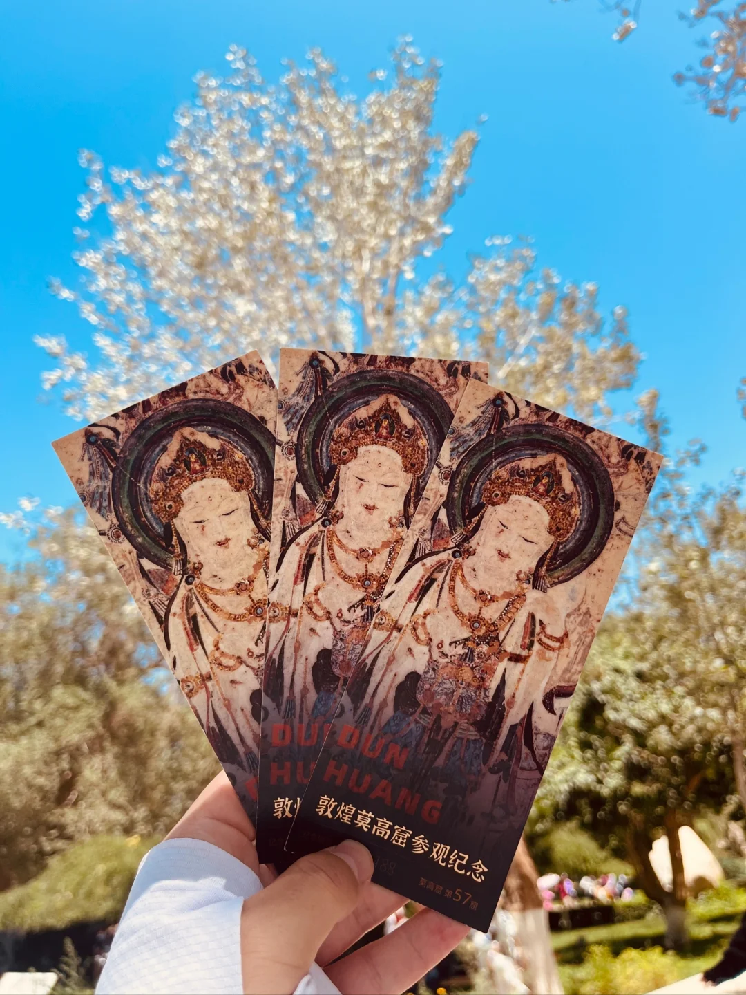 二刷！！三天玩遍敦煌精华景点 旅游攻略！