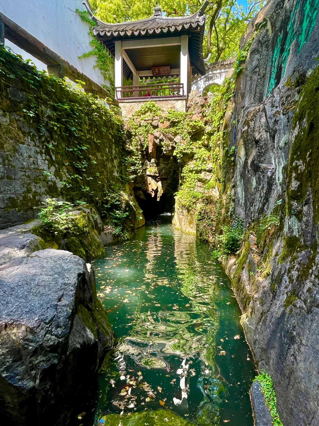 📍苏州·虎丘