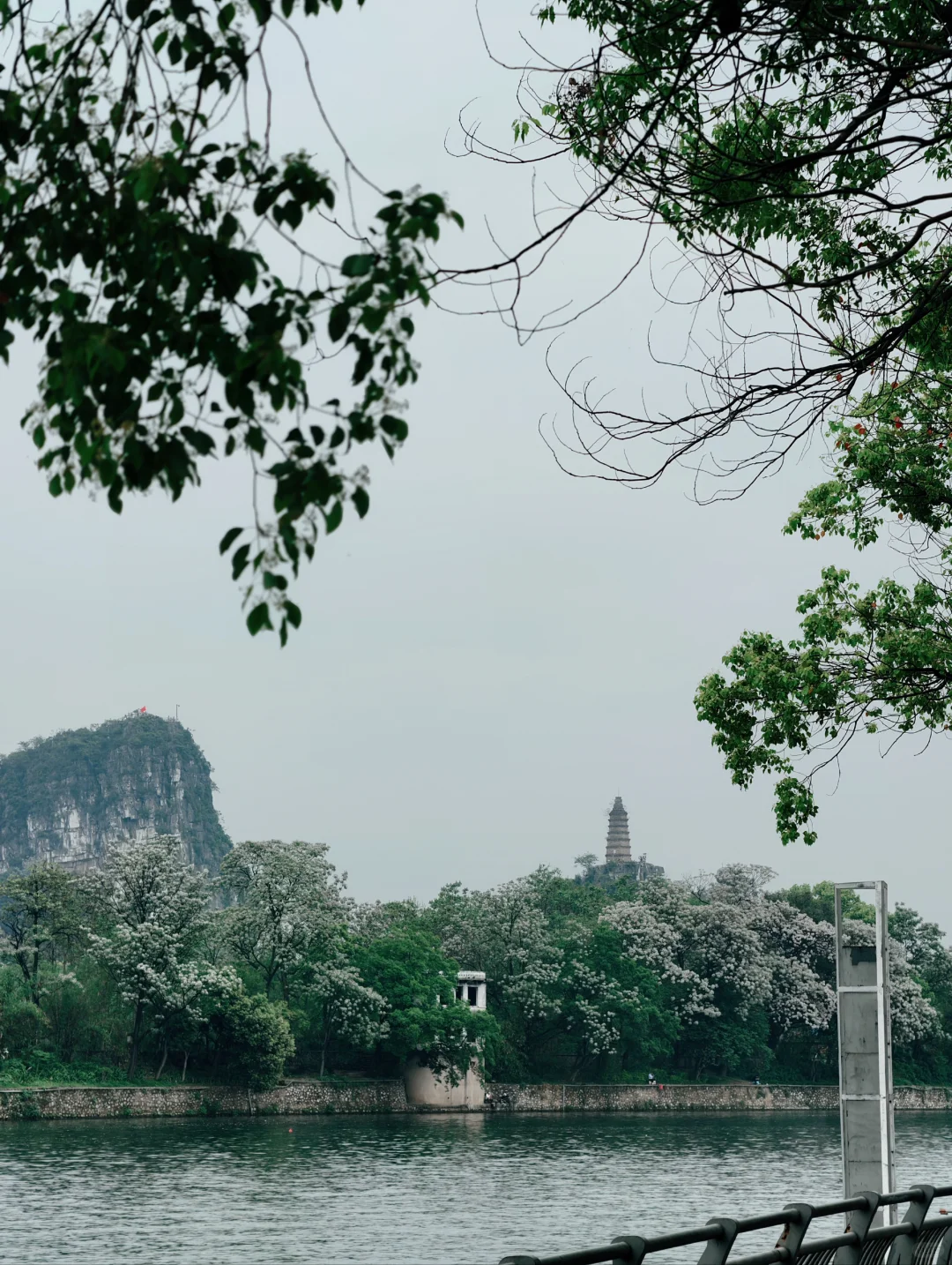 乍然春风起，吹落花满地