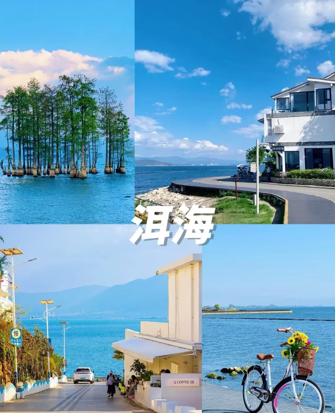 云南西双版纳的魔力有多大❗❗❗