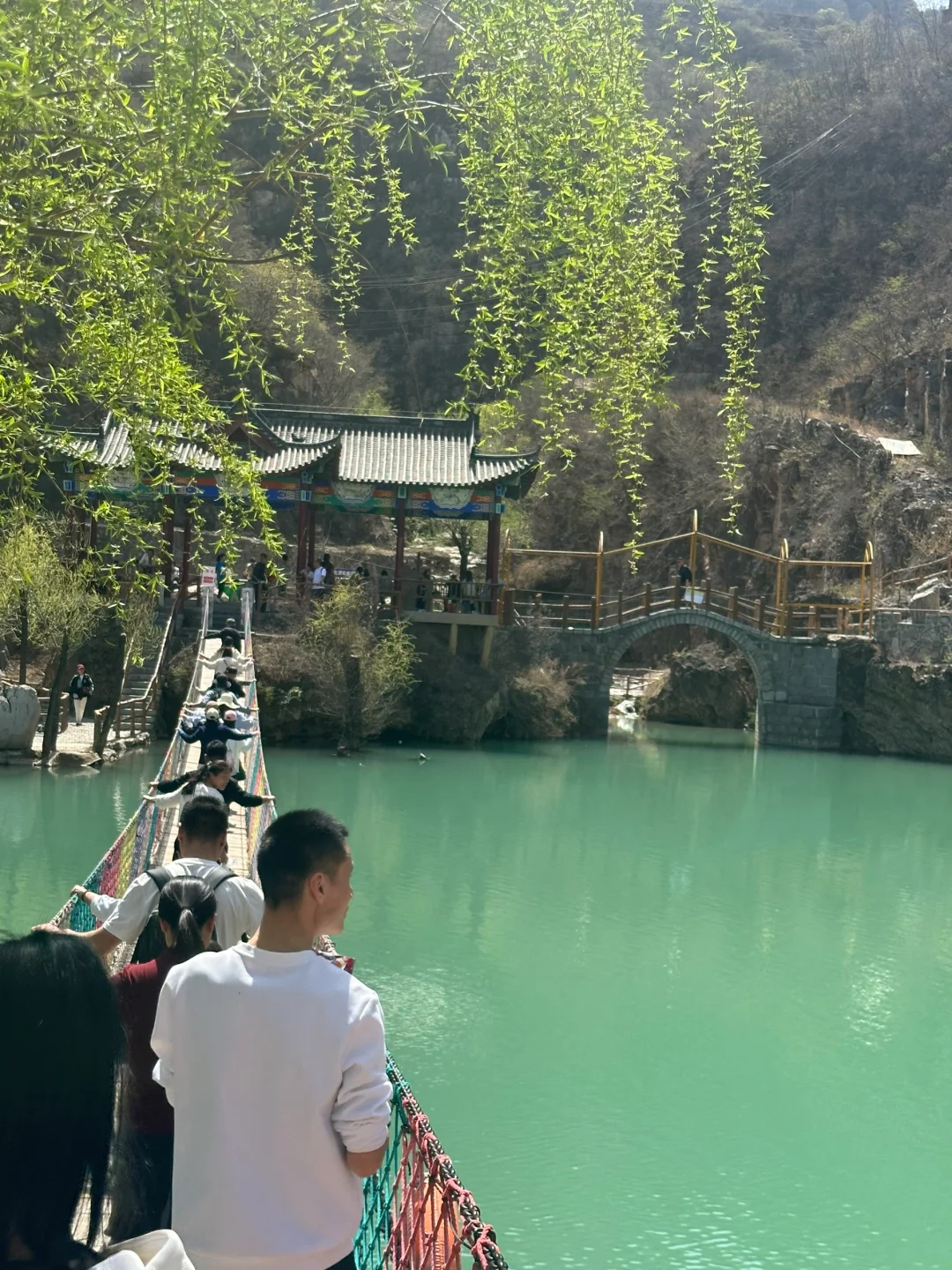真不是桂林，是石家庄！🌳