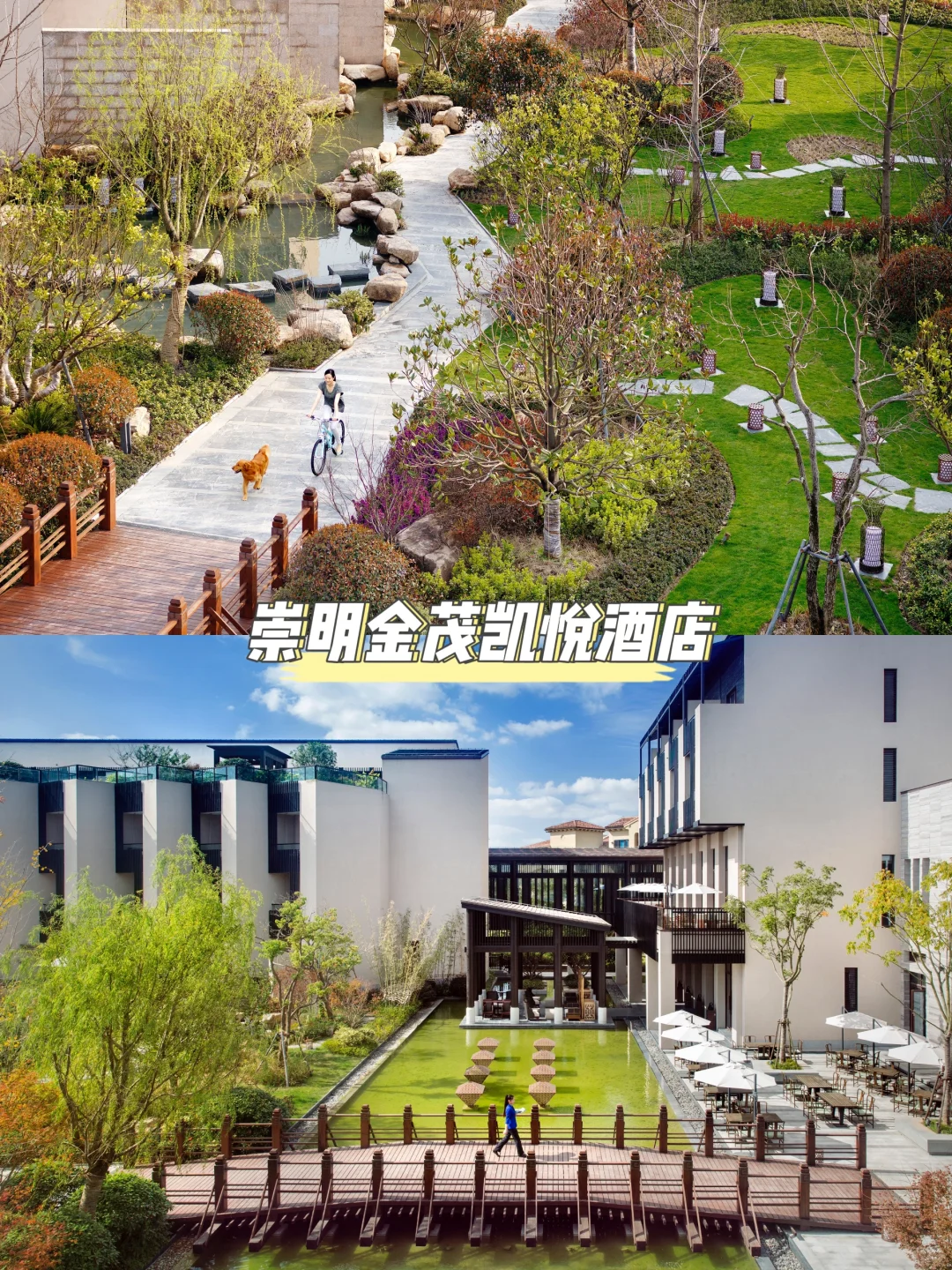 崇明适合穷游的11个免费景点！学生党快冲~