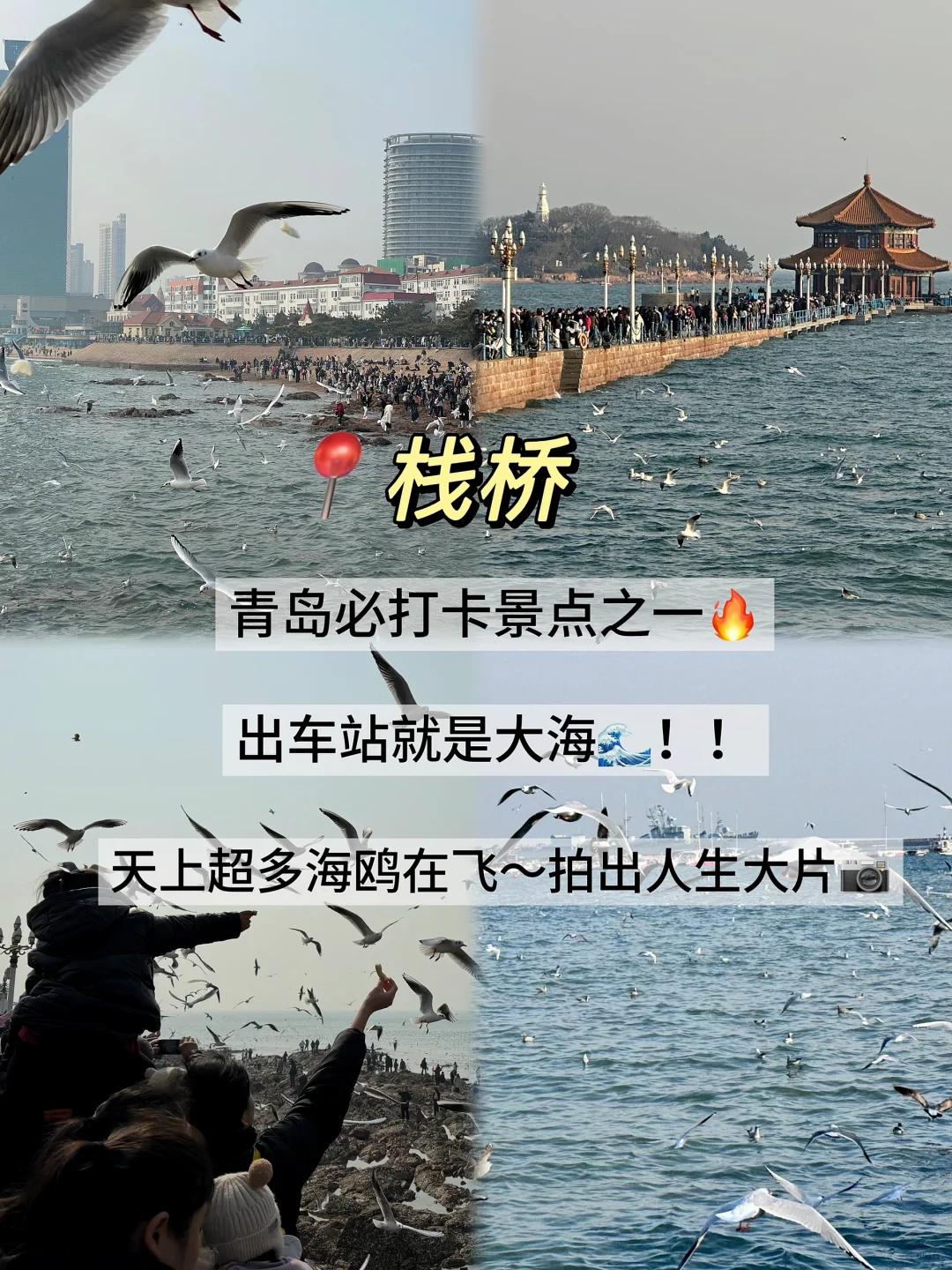 04男大📍青岛两天一夜‼️超用心的青岛攻略📝