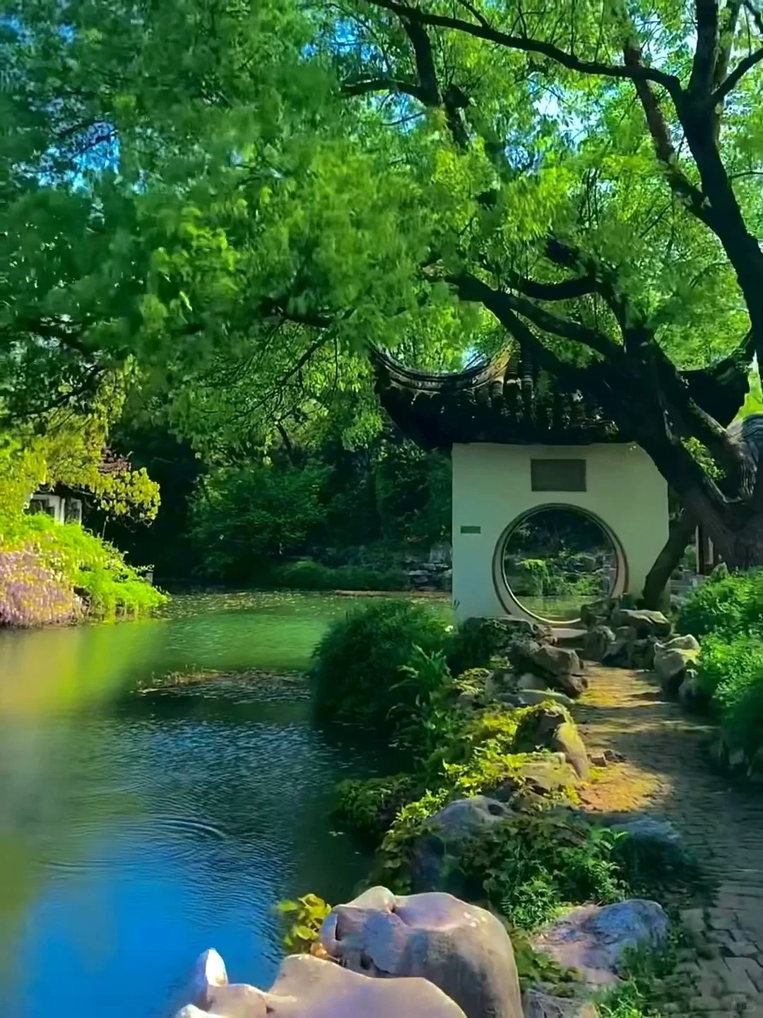 愿每个4-5🈷来苏州的宝子都能看到这篇