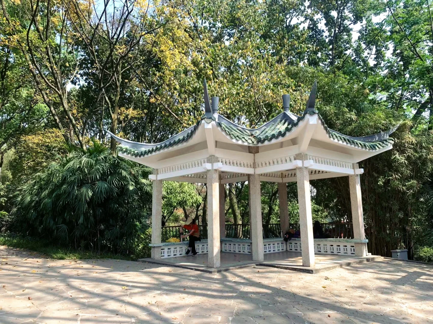 🌳鹅岭公园全攻略📸