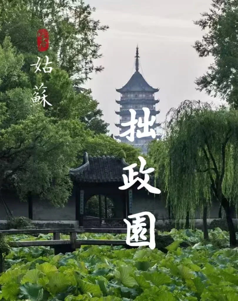 拙政园没有约上票怎么办，其实很容易！