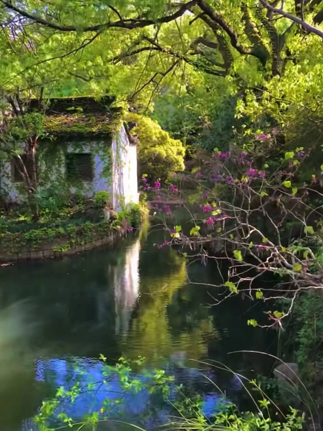 愿每个4-5🈷来苏州的宝子都能看到这篇