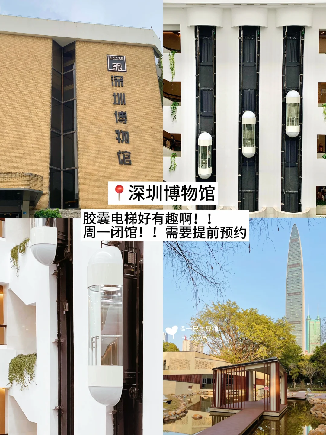 深圳📍淡季Citywalk旅游攻略！！暴走两万步！！