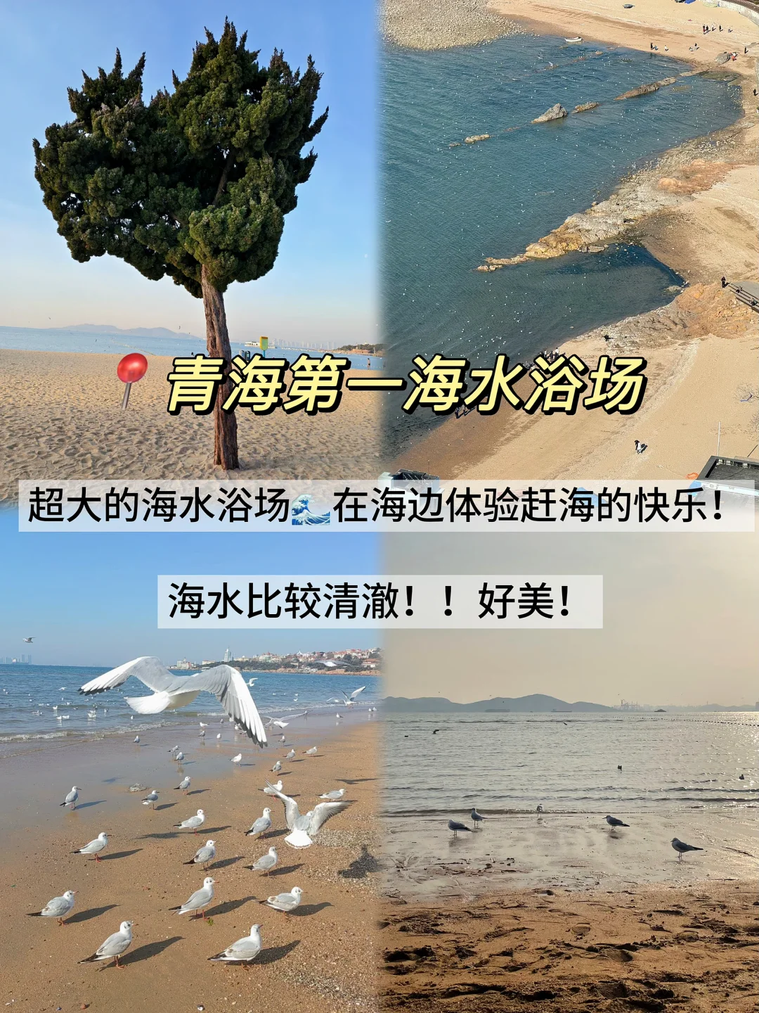 04男大📍青岛两天一夜‼️超用心的青岛攻略📝