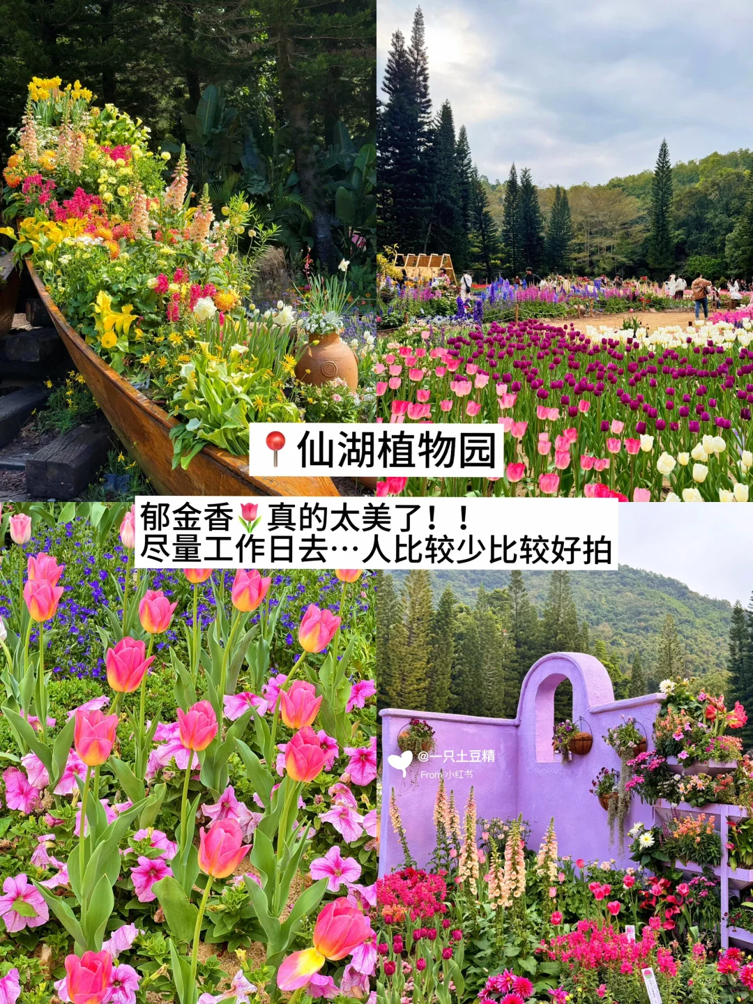 深圳📍淡季Citywalk旅游攻略！！暴走两万步！！